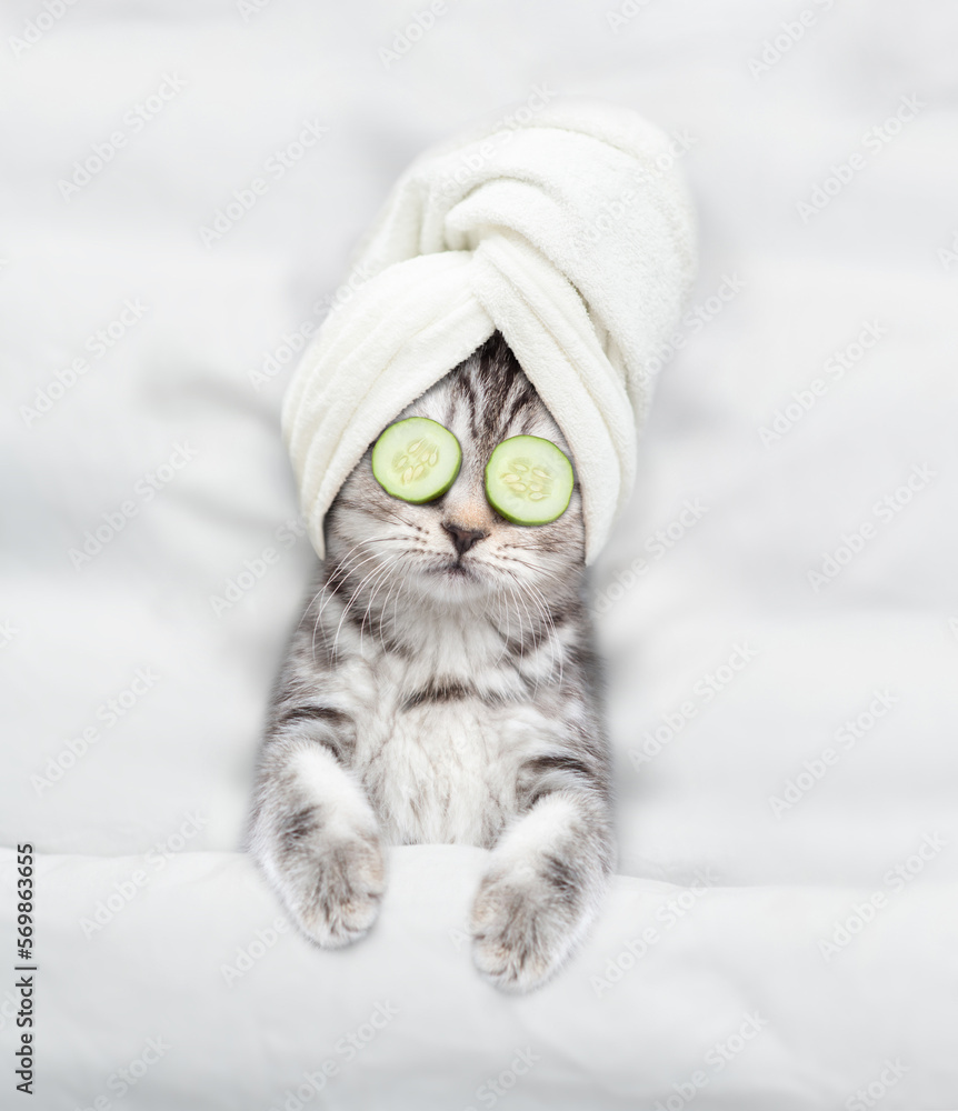 Poster Cute kitten with towel on it head and with a piece of cucumber on it eyes relaxing on the bed at home. Top down view