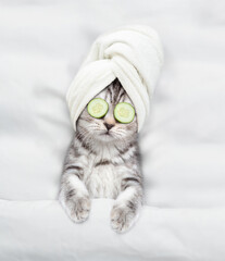 Cute kitten with towel on it head and with a piece of cucumber on it eyes relaxing on the bed at...