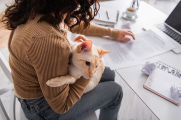 Cropped view of copywriter holding oriental cat near blurred papers and laptop at home.