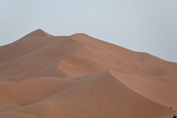 Fototapeta na wymiar Due sabbia del deserto del Sahara