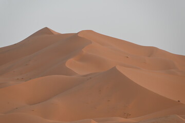 Fototapeta na wymiar Due sabbia del deserto del Sahara