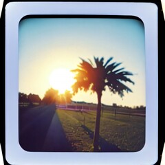sunset on the road