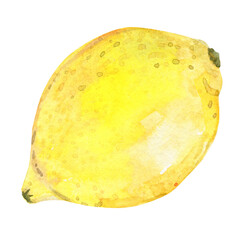 Watercolor lemon fruit isolated on white