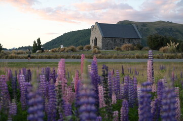 A church and beautiful flowers