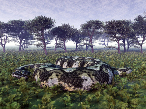 Prähistorische Riesenschlange Titanoboa
