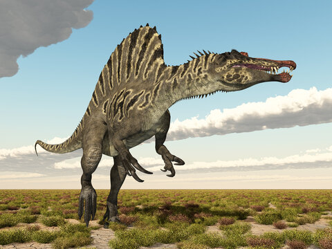 Dinosaurier Spinosaurus in einer Landschaft