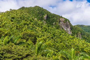 A view of a mountain peak in the tropical rainforest in Puerto Rico on a bright sunny day