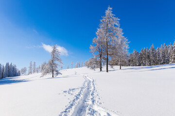 Hiking trail through snowy winter landscape for snow hiking