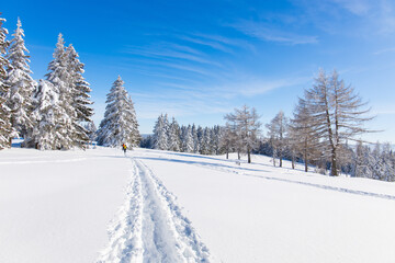Hiking trail through snowy winter landscape for snow hiking