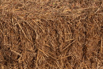 Agriculture farm and farming symbol of harvest time with dry grass, hay pile of dried grass hay straw.
