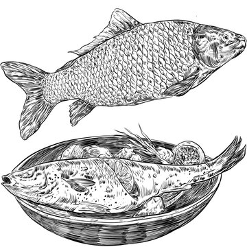 Ilustraci&radic;&ge;n tinta, realista de estilo vintage de marisco, pescados, carnes, hamburguesas y otros alimentos para cartas de restaurantes y publicidad en restauraci&radic;&ge;n en png transparente.