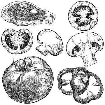 Ilustraci&oacute;n tinta, realista de estilo vintage de verdura, carnes, hamburguesas y otros alimentos para cartas de restaurantes y publicidad en restauraci&oacute;n en png transparente.