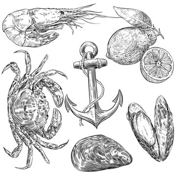 Ilustraci&oacute;n tinta, realista de estilo vintage de marisco, pescados, carnes, hamburguesas y otros alimentos para cartas de restaurantes y publicidad en restauraci&oacute;n en png transparente.