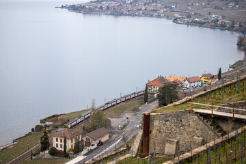 train in the vineyards. railroad on the lake. swiss train