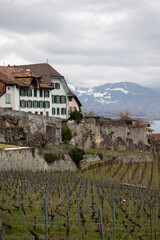 house in the mountains