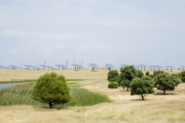 Fototapeta na wymiar A summer field with trees and solar panels in the background. Spain. Solar energy in Europe.