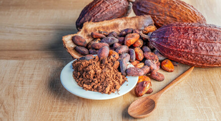 Cocoa powder and cocoa beans with cocoa pods on wooden background.