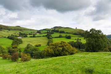 Scenic landscape in the Tanat Valley near to Llansilin in Powys North Wales