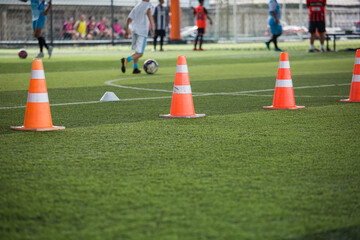 Obraz premium Cone green for grass field