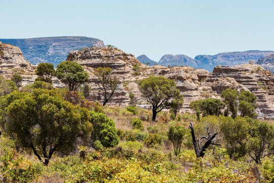 Isalo National Park in Ihorombe Region. Wilderness landscape with water erosion into rocky outcrops, plateaus, extensive plains and deep canyons like in Utah. Beautiful Madagascar panorama landscape.