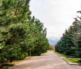 Park in autumn and mountains in the background. Almaty