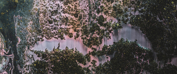 Dirty fluid art background with dark green and pink tints and black gold stains. Eerie effect of acrylic paints. Liquid ink of swamp tones. Toxic surrealistic abstract texture with mix marsh colors.