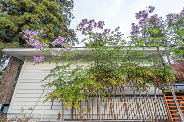 白峯寺