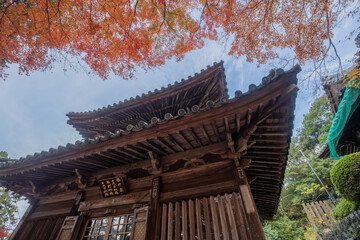 白峯寺
