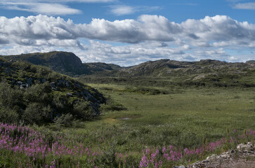 Obraz premium Summer mountain landscape under daytime cloudy sky