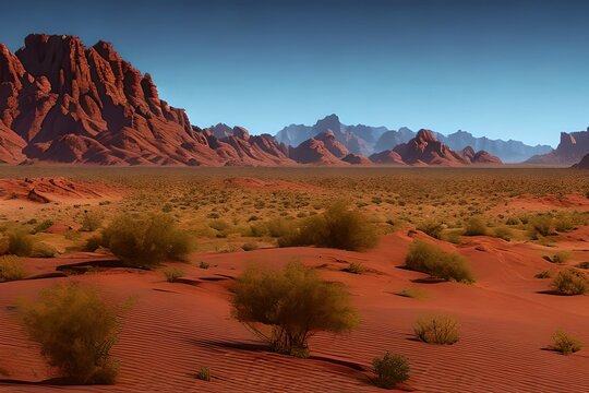 Wide view of the American western desert landscape.
