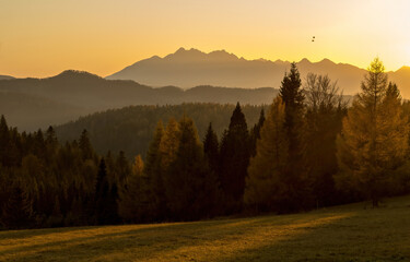 Widok na Tatry © Marek