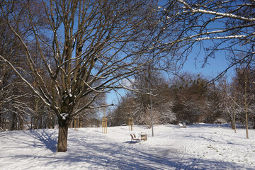 Park in winter at daytime