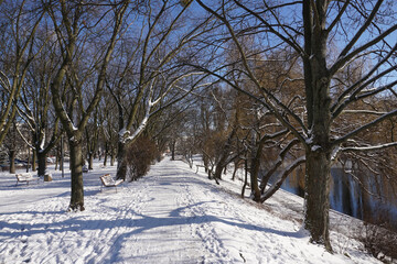 Park in winter at daytime