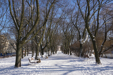 Park in winter at daytime