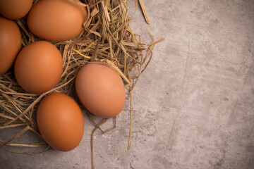 Fresh chicken eggs in straw, gray background. Copy space.