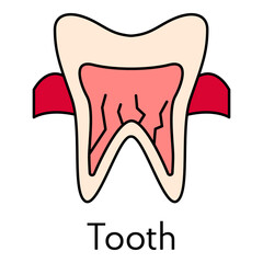 Human tooth icon flat vector illustration of human organ liver symbol for web design medicine anatomy for dental clinic
