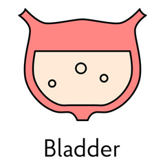 Human bladder icon flat vector illustration of human organ excretory system  urine muse symbol for web design medicine anatomy for clinic hospital