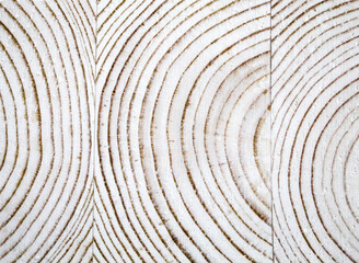 Wooden stump texture