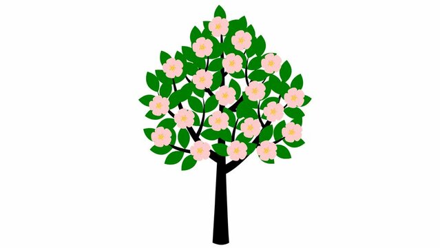 The tree gradually grows, green leaves appear on the black branches. Pink flowers are blooming. The black symbol. Concept of spring. Flat vector illustration isolated on white background.