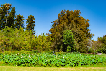 Voyage en Australie - kangaroo island - Australia