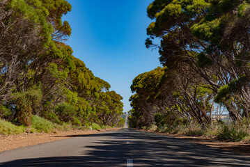 Voyage en Australie - kangaroo island - Australia