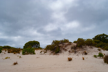 Voyage en Australie - kangaroo island - Australia