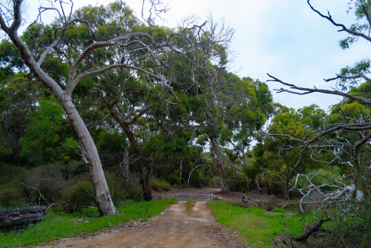 Voyage en Australie - kangaroo island - Australia