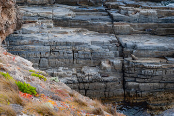 Voyage en Australie - kangaroo island - Australia
