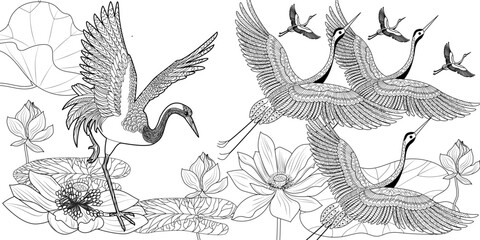 Coloring Pages. Coloring Book for adults and children. Colouring pictures with stork. Linear engraved art. Bird concept. Romantic concept. Vector design
