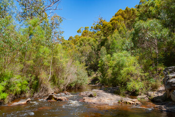 Voyage en Australie - kangaroo island - Australia