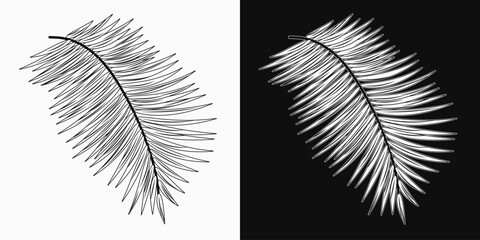 Black and white leaf of coconut palm. Detailed illustration in vintage style.