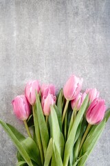 Pink tulips with copy space| Spring flowers background, selective focus