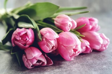 Pink tulips with copy space| Spring flowers background, selective focus