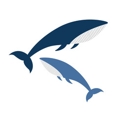Simple blue whale design vector illustration. Isolated on a white background.